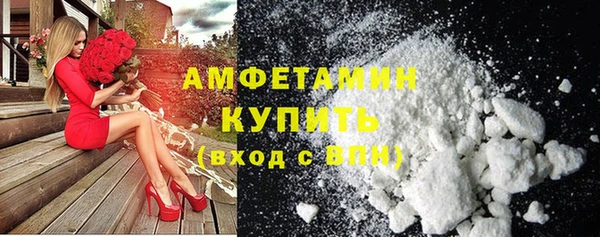соль ск Инсар