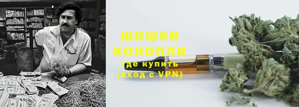 соль ск Инсар