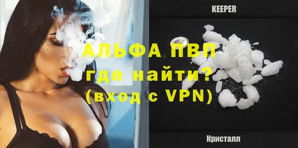 соль ск Инсар