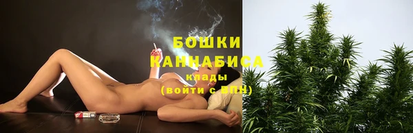 соль ск Инсар