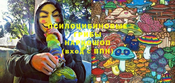 соль ск Инсар