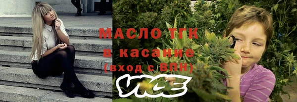 соль ск Инсар