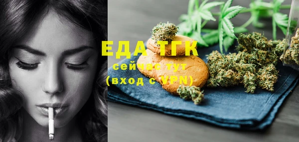 соль ск Инсар