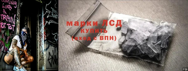 соль ск Инсар
